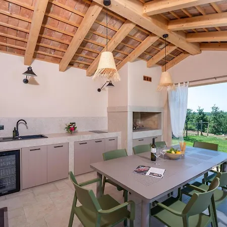 Villa Vita Вилла Пазин